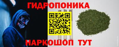 apvp Гудермес