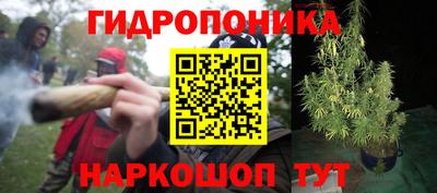 apvp Гудермес